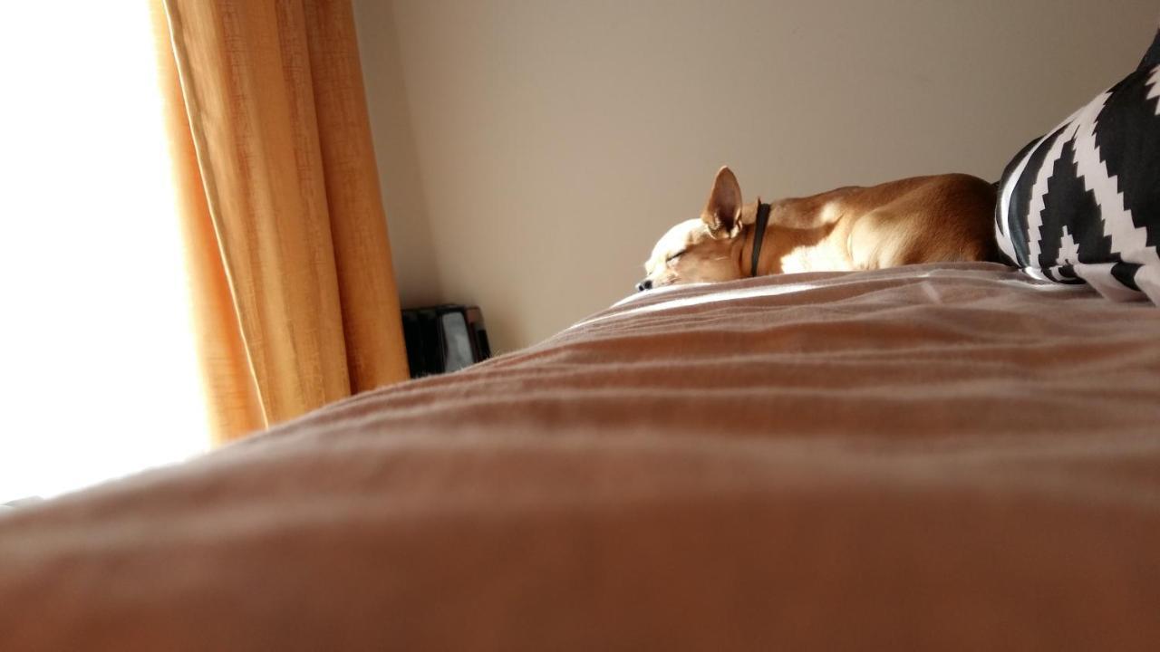 Elijos Apartamentai